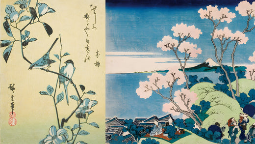 Hokusai and Hiroshige: 100 Views of Amazing!